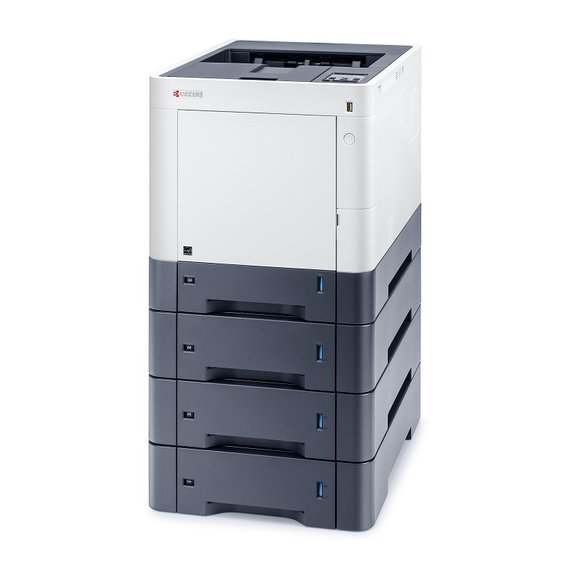 Kyocera ECOSYS P6230cdn